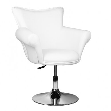 Salono kėdė, balta