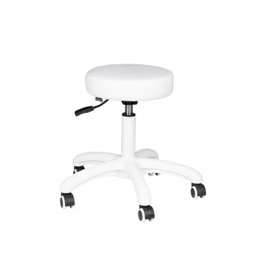 Master chair AM-303-2 Master chair AM-303-2
