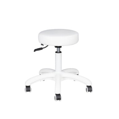 Master chair AM-303-2 Master chair AM-303-2