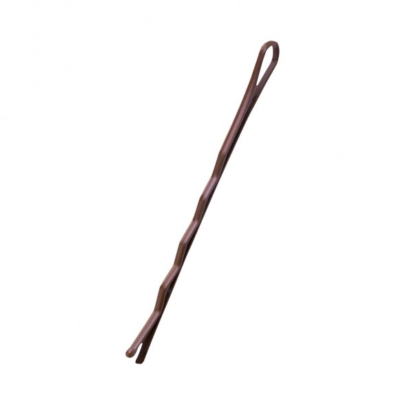 Kirpyklų plaukų segtukai E-58 120 vnt 5,6 cm, vario sp. 2 Kirpyklų plaukų segtukai E-58 120 vnt 5,6 cm, vario sp. 2