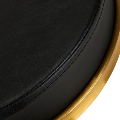 Master's chair H4, gold/black Master's chair H4, gold/black