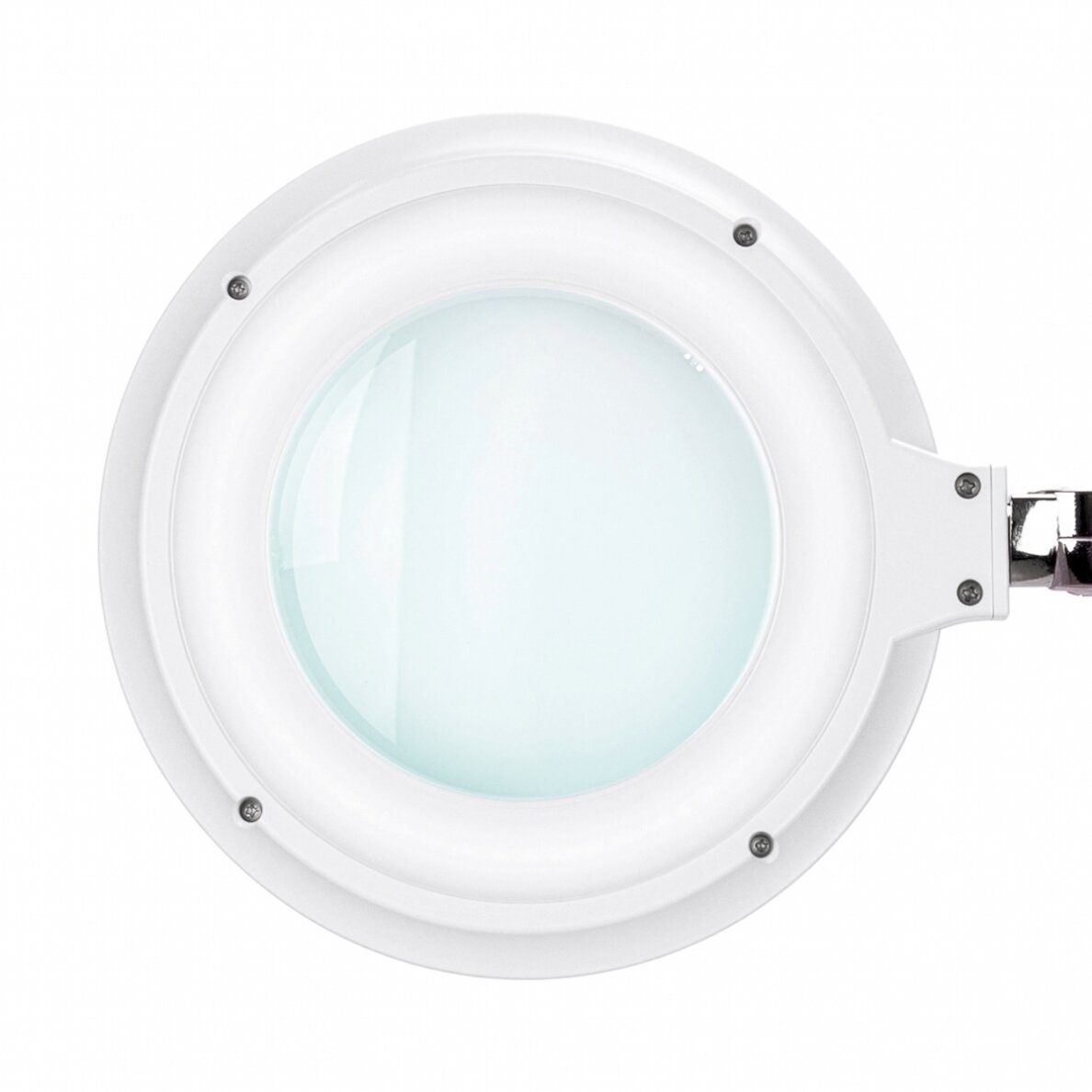 LED lamp with magnifying glass "Elegante 6031", mobile stand and adjustable light intensity 7 LED lamp with magnifying glass "Elegante 6031", mobile stand and adjustable light intensity 7