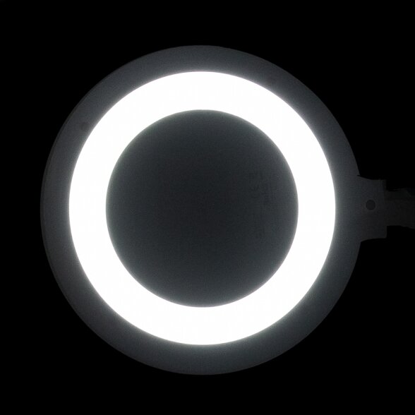 LED lamp with magnifying glass "Elegante 6031", mobile stand and adjustable light intensity 8 LED lamp with magnifying glass "Elegante 6031", mobile stand and adjustable light intensity 8