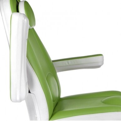 Elektrinis pedikiūro-kosmetologinis krėslas Mazaro BR-6672B, žalias