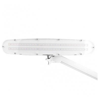 LED lempa ELEGANTE 801-S ZE su stovu, baltos sp. 1