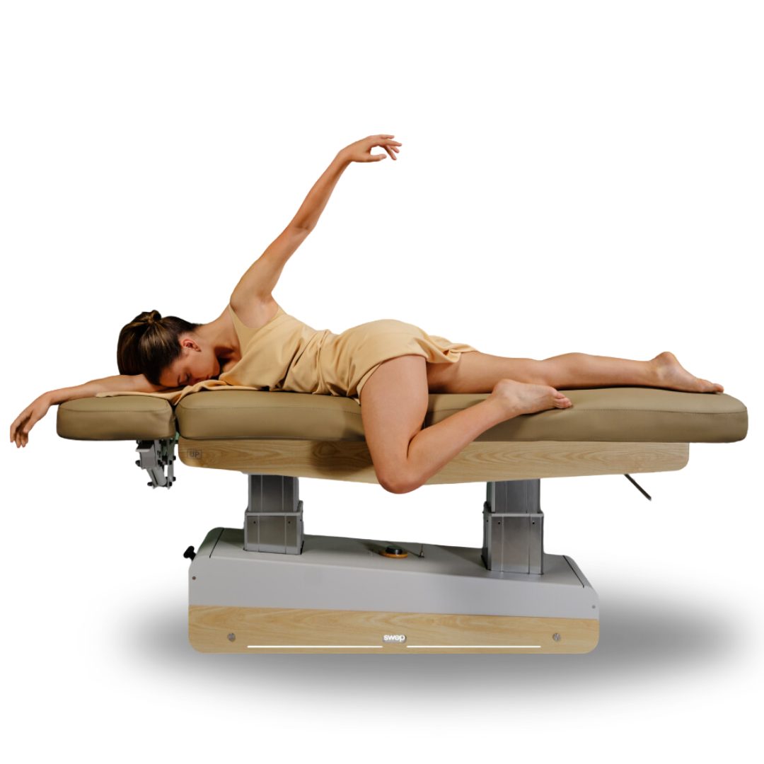 Naggura SWOP S4 SPA with UP + Twinlift system, electric SPA low, brown Naggura SWOP S4 SPA with UP + Twinlift system, electric SPA low, brown