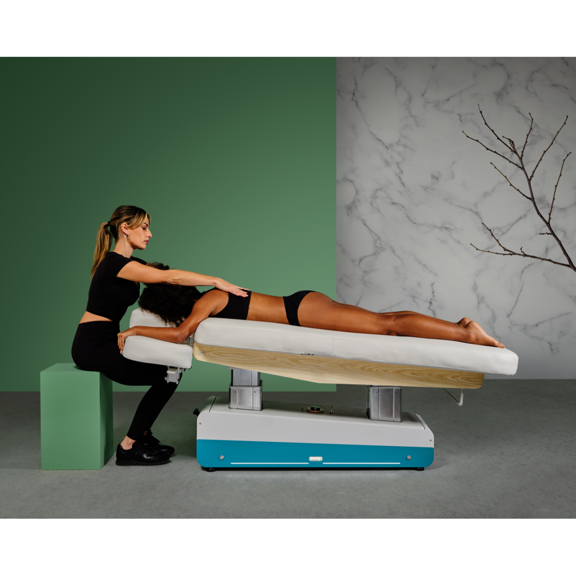 Naggura SWOP S4 SPA with UP + Twinlift system, electric SPA low, brown 3 Naggura SWOP S4 SPA with UP + Twinlift system, electric SPA low, brown 3