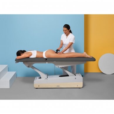 Naggura SWOP 2L STARTER elektrinė masažo/ terapijos lova pilkos sp. 12