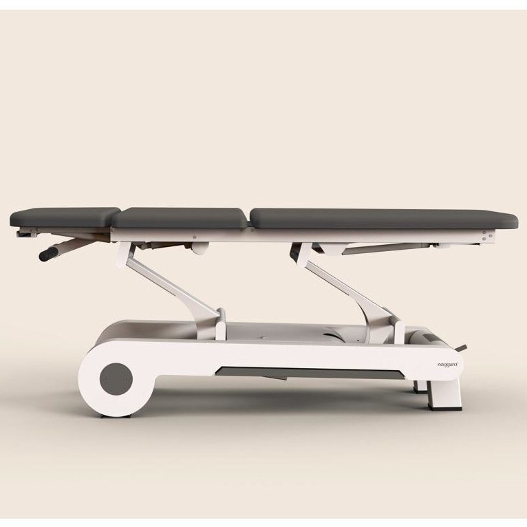 Naggura N'RUN Electric 3 Section, 2 Motor Therapy Table N'RUN3 1 Naggura N'RUN Electric 3 Section, 2 Motor Therapy Table N'RUN3 1