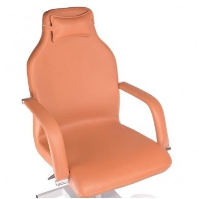 Pedikiūro krėslas su masažine vonele BD-5711, rudos sp. 1