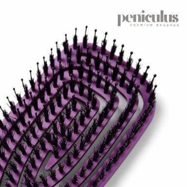 Plaukų šepetys PENICULUS, natūralių šerių, lankstus, violetinės sp.